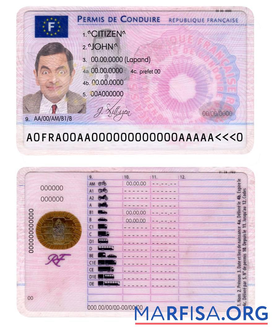 Blank France driving license real example